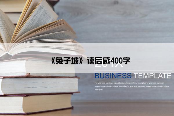 《兔子坡》读后感400字