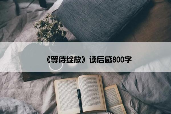 《等待绽放》读后感800字