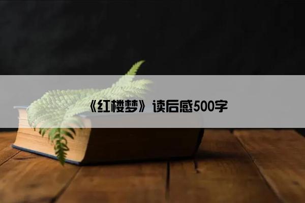 《红楼梦》读后感500字