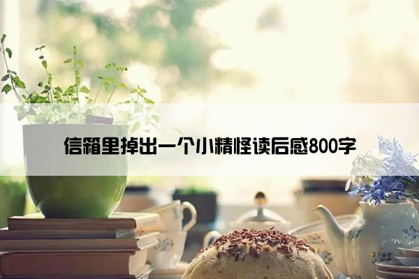 信箱里掉出一个小精怪读后感800字