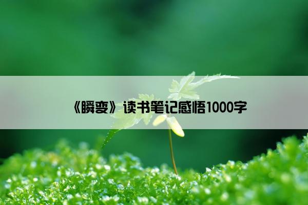 《瞬变》读书笔记感悟1000字