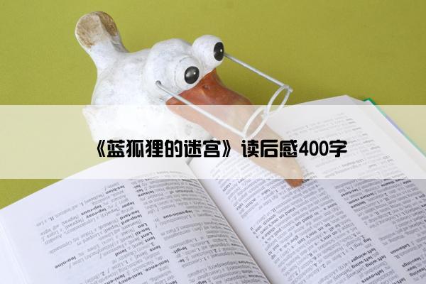 《蓝狐狸的迷宫》读后感400字