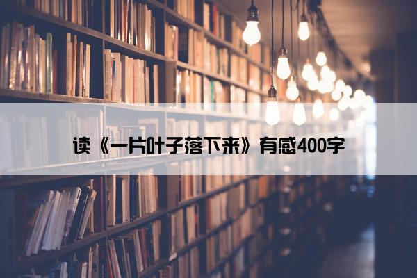 读《一片叶子落下来》有感400字
