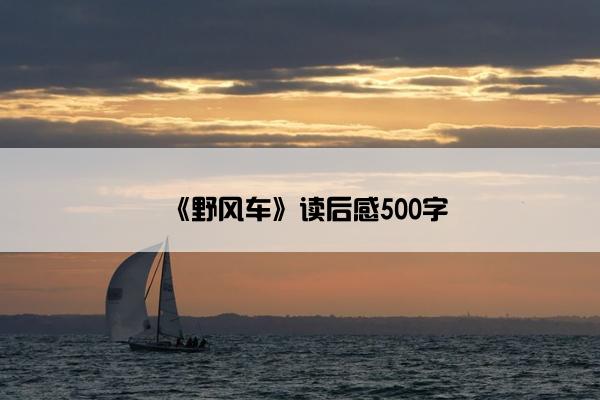 《野风车》读后感500字