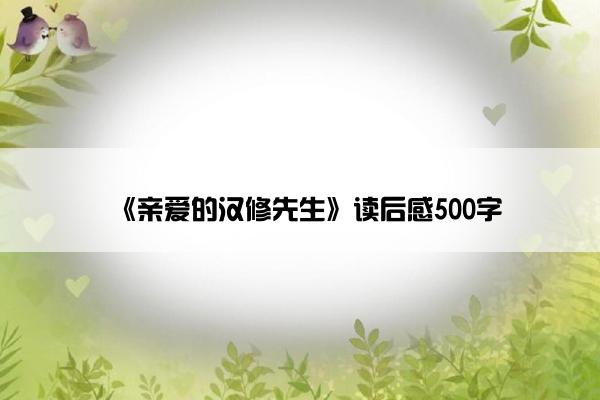 《亲爱的汉修先生》读后感500字