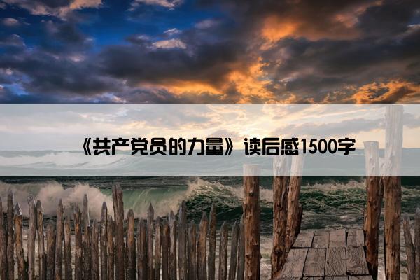 《共产党员的力量》读后感1500字