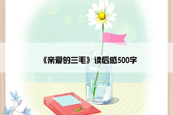 《亲爱的三毛》读后感500字