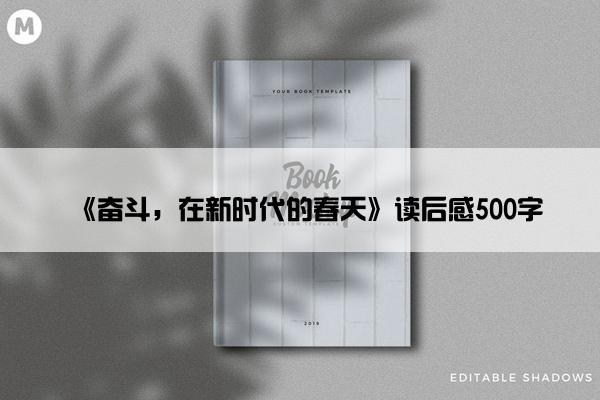 《奋斗，在新时代的春天》读后感500字