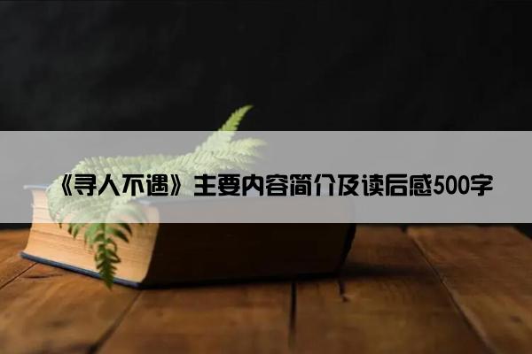 《寻人不遇》主要内容简介及读后感500字