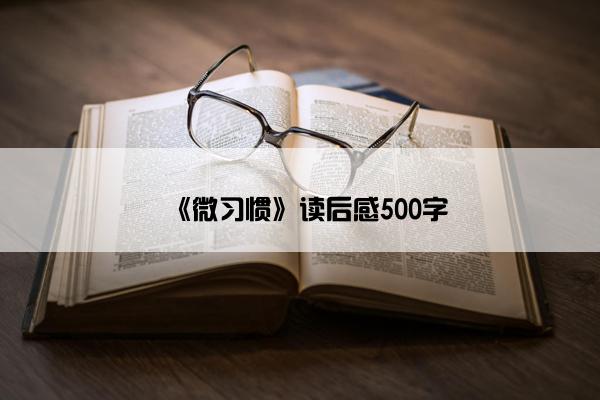 《微习惯》读后感500字