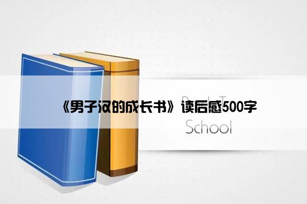 《男子汉的成长书》读后感500字
