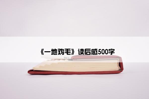 《一地鸡毛》读后感500字