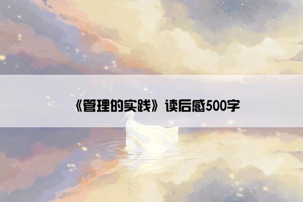 《管理的实践》读后感500字