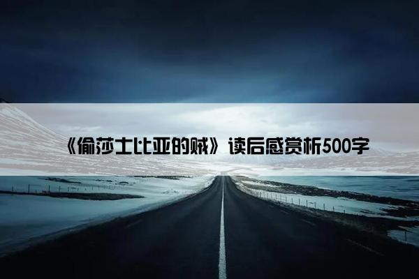 《偷莎士比亚的贼》读后感赏析500字