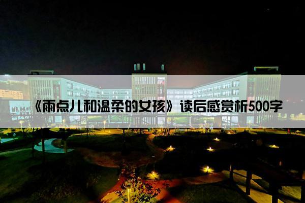 《雨点儿和温柔的女孩》读后感赏析500字