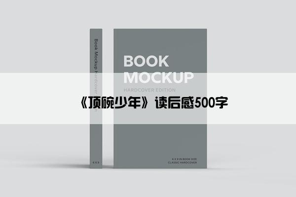 《顶碗少年》读后感500字