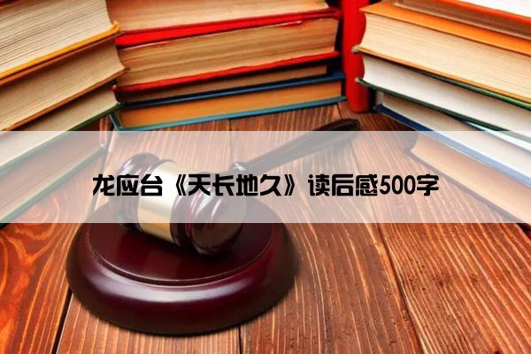 龙应台《天长地久》读后感500字