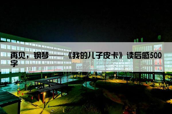 再见，钢琴——《我的儿子皮卡》读后感500字