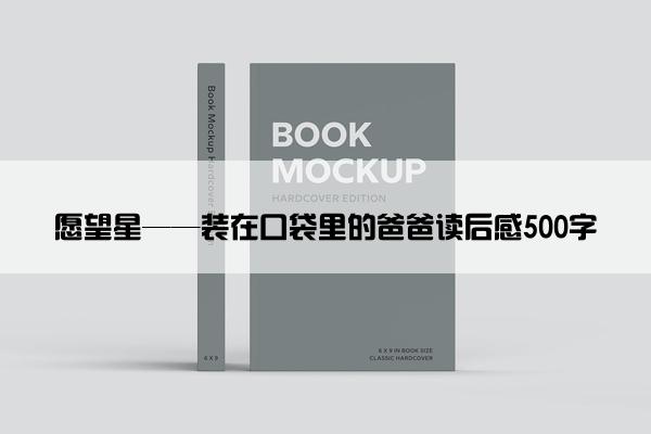 愿望星——装在口袋里的爸爸读后感500字