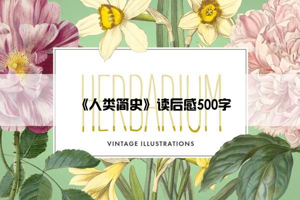 《人类简史》读后感500字