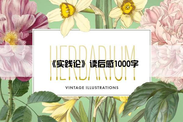 《实践论》读后感1000字