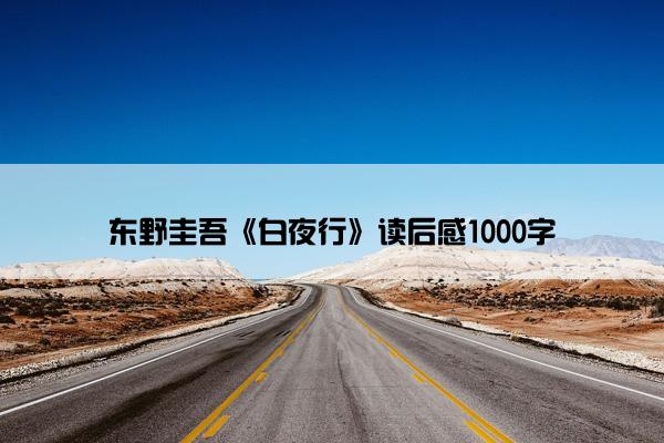 东野圭吾《白夜行》读后感1000字