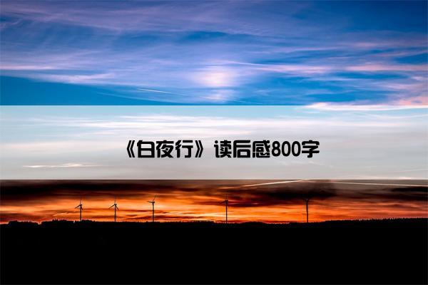 《白夜行》读后感800字