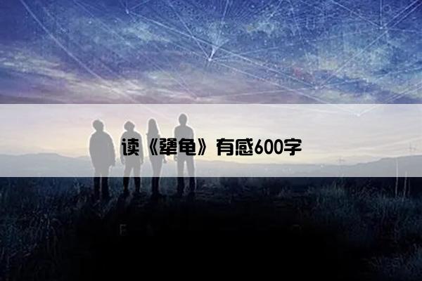 读《犟龟》有感600字