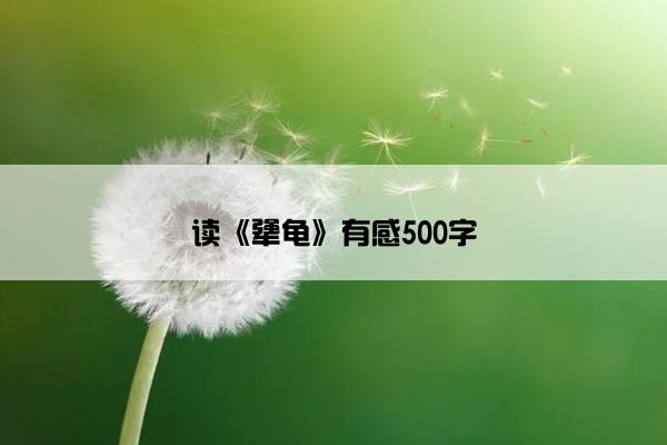 读《犟龟》有感500字