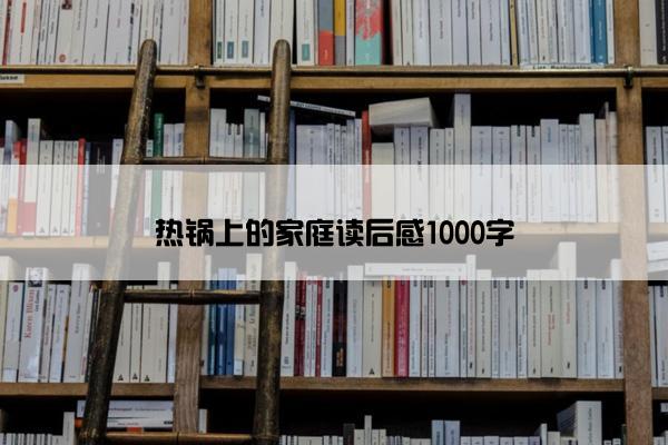 热锅上的家庭读后感1000字