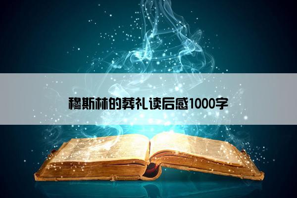 穆斯林的葬礼读后感1000字