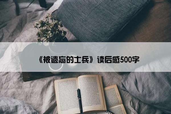 《被遗忘的士兵》读后感500字