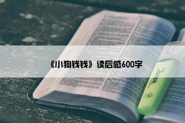 《小狗钱钱》读后感600字