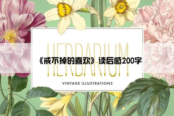 《戒不掉的喜欢》读后感200字