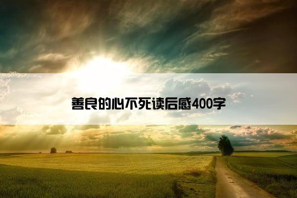 善良的心不死读后感400字