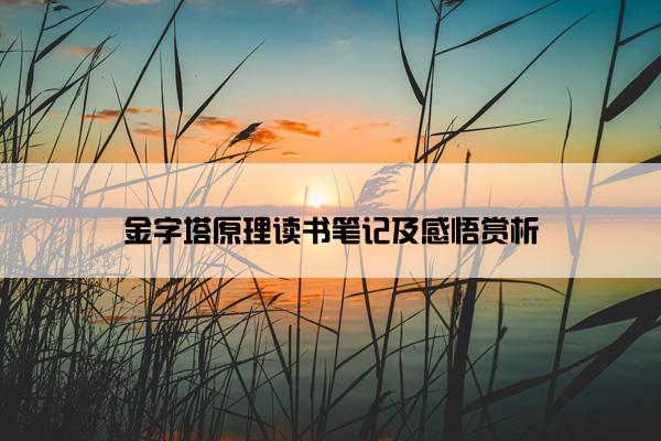 金字塔原理读书笔记及感悟赏析