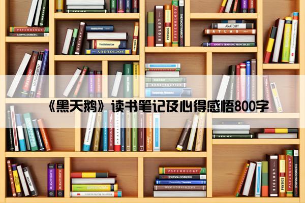 《黑天鹅》读书笔记及心得感悟800字