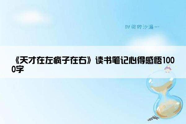 《天才在左疯子在右》读书笔记心得感悟1000字
