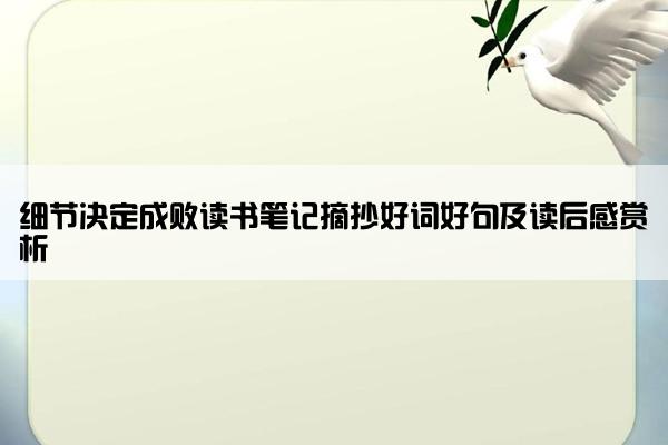 细节决定成败读书笔记摘抄好词好句及读后感赏析