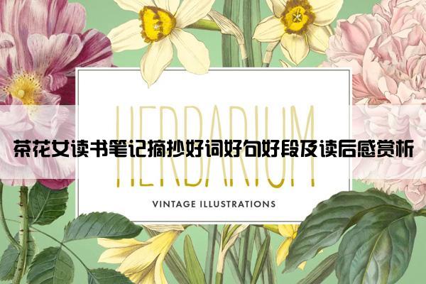 茶花女读书笔记摘抄好词好句好段及读后感赏析