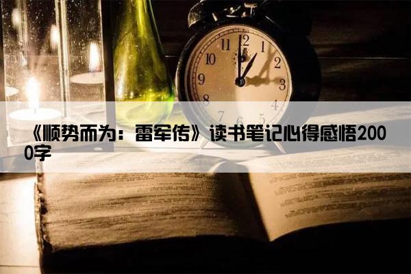 《顺势而为：雷军传》读书笔记心得感悟2000字