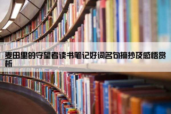 麦田里的守望者读书笔记好词名句摘抄及感悟赏析