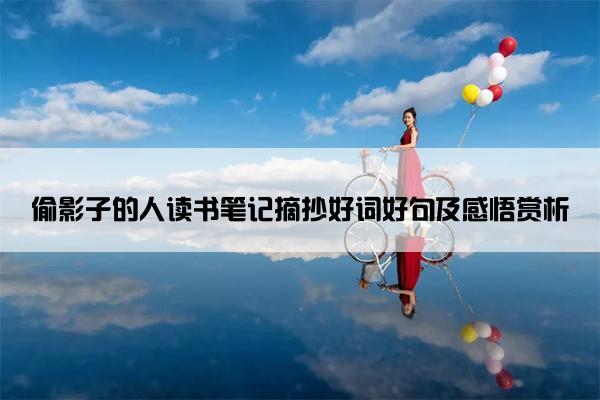 偷影子的人读书笔记摘抄好词好句及感悟赏析