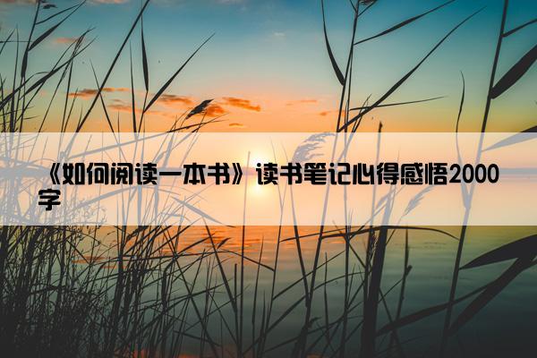 《如何阅读一本书》读书笔记心得感悟2000字