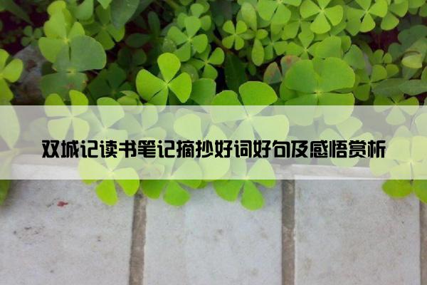 双城记读书笔记摘抄好词好句及感悟赏析