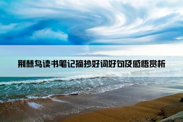 荆棘鸟读书笔记摘抄好词好句及感悟赏析