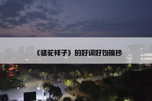 《骆驼祥子》的好词好句摘抄