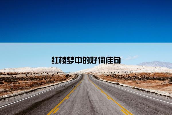 红楼梦中的好词佳句