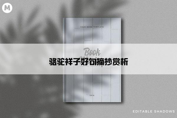 骆驼祥子好句摘抄赏析