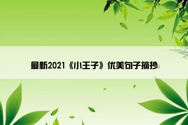 最新2021《小王子》优美句子摘抄